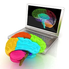 Image showing creative three-dimensional model of real human brain and scan on