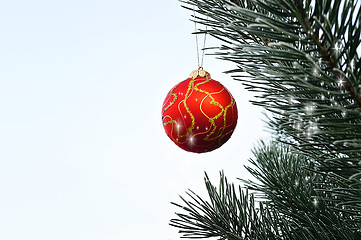 Image showing Christmas ball hanging on a pine tree in the forest