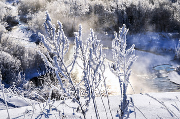 Image showing Winter sunny landscape with river and forest