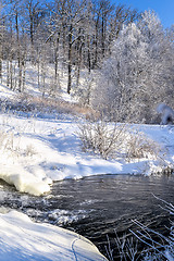 Image showing Winter sunny landscape with river and forest