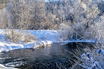 Image showing Winter sunny landscape with river and forest