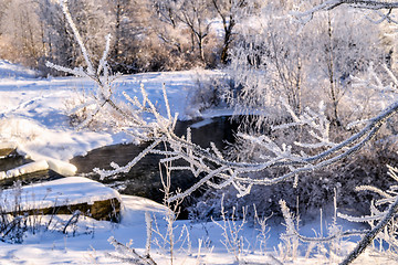 Image showing Winter sunny landscape with river and forest