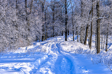 Image showing Winter landscape with a road in the forest