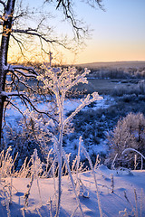 Image showing Winter landscape with a beautiful sunrise in the forest