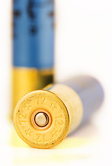 Image showing shotgun shells