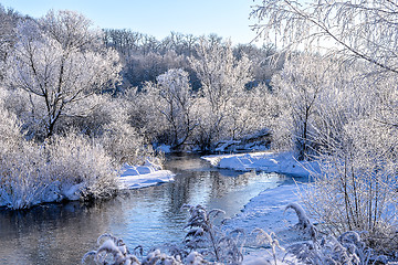 Image showing Winter sunny landscape with river and forest