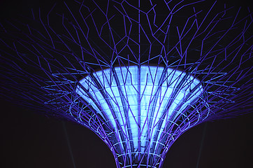 Image showing Supertree Grove, Gardens by the Bay in Singapore