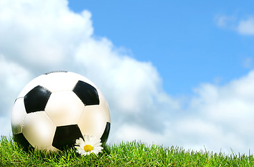 Image showing Soccerball with daisy against a blue sky