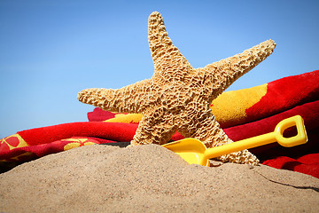 Image showing Big starfish in the sand