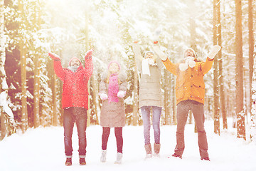 Image showing group of happy friends playin with snow in forest