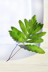 Image showing Table napkin and green fern