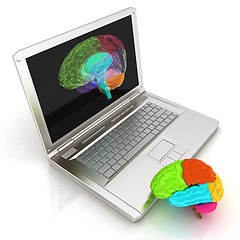 Image showing creative three-dimensional model of real human brain and scan on