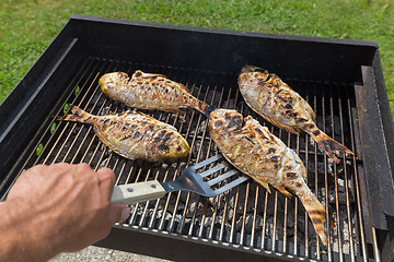 Image showing Fish Fried On The Grill Outdoor.