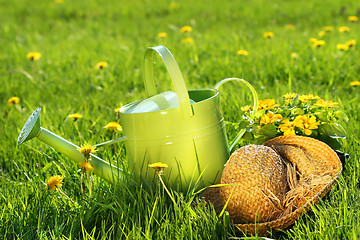 Image showing Watering can in the grass