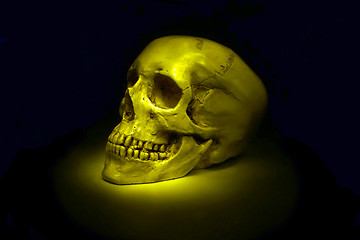 Image showing human skull isolated