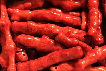 Image showing beautiful red coral