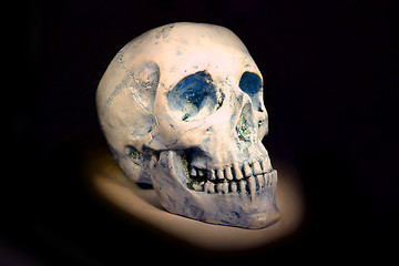 Image showing human skull isolated