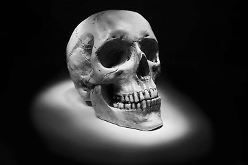 Image showing human skull isolated