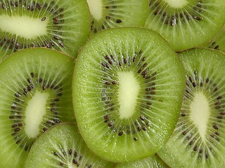 Image showing Kiwi