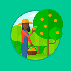 Image showing Farmer collecting oranges vector illustration.