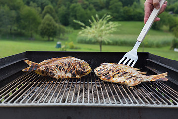 Image showing Fish Fried On The Grill Outdoor.