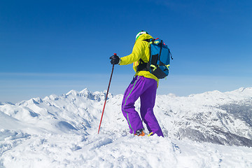 Image showing Freeride skier on the top of the mountain.