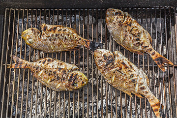 Image showing Fish Fried On The Grill Outdoor.