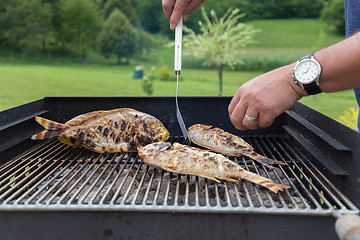 Image showing Fish Fried On The Grill Outdoor.