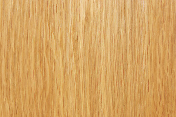 Image showing Birch texture