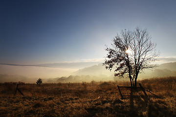 Image showing sunrise with fog at autumn