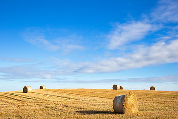 Image showing agricultural field and blue sky