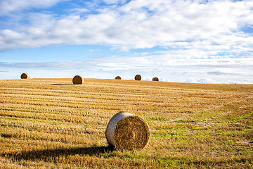 Image showing agricultural field and blue sky