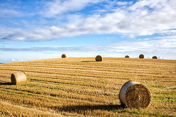 Image showing agricultural field and blue sky