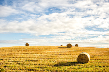 Image showing agricultural field and blue sky