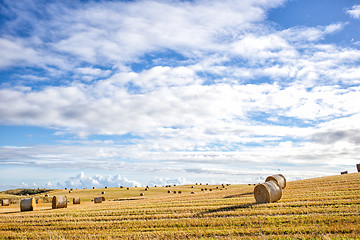 Image showing agricultural field and blue sky