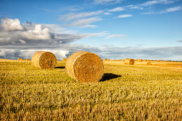 Image showing agricultural field and blue sky