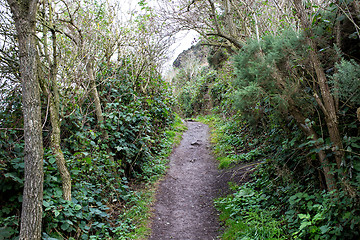 Image showing road uphill, Holyrood park, Edinburgh