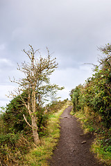 Image showing road uphill, Holyrood park, Edinburgh