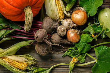 Image showing Freshly harvested vegetables with dirt