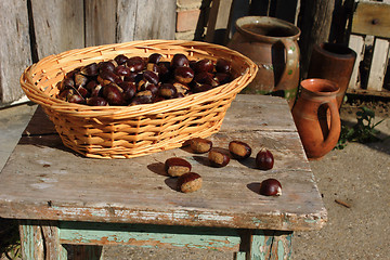 Image showing Chestnut in basket