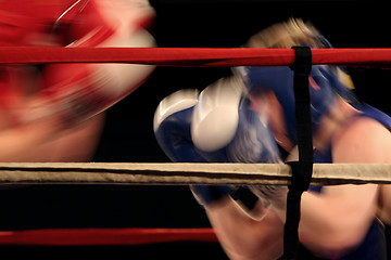 Image showing Boxers