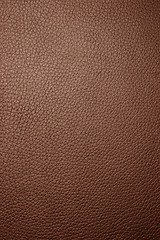 Image showing Brown leather - Macro