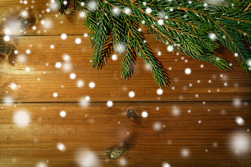 Image showing natural green fir branch on blank wooden board