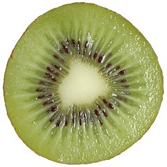 Image showing Kiwi