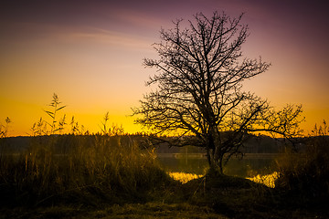 Image showing sunset at Osterseen Lake near Iffeldorf Bavaria Germany