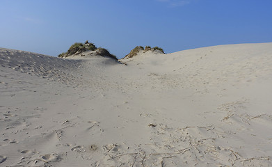 Image showing Sand dune