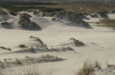 Image showing Sand