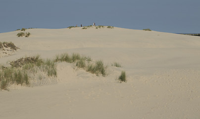 Image showing Sand