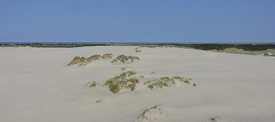 Image showing Sand dune