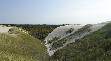 Image showing Sand dune